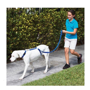 Instant Trainer Leash For Dogs - 70% OFF!