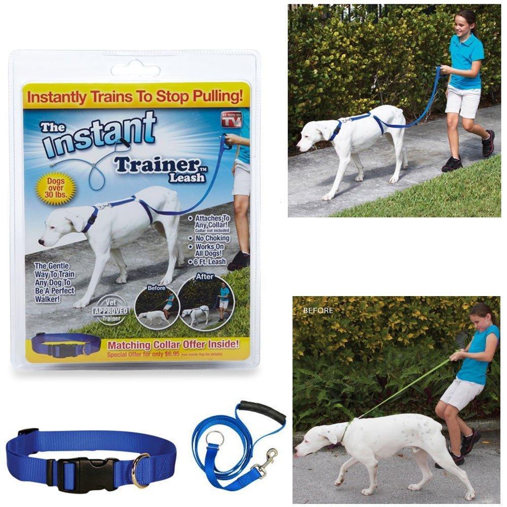 Instant Trainer Leash For Dogs - 70% OFF!