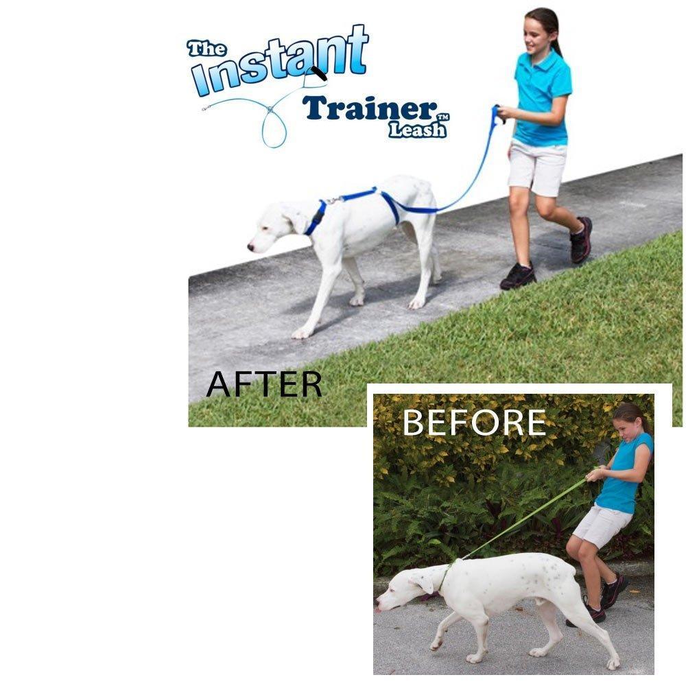 Instant Trainer Leash For Dogs - 70% OFF!