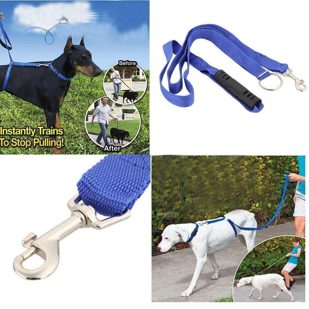 Instant Trainer Leash For Dogs - 70% OFF!