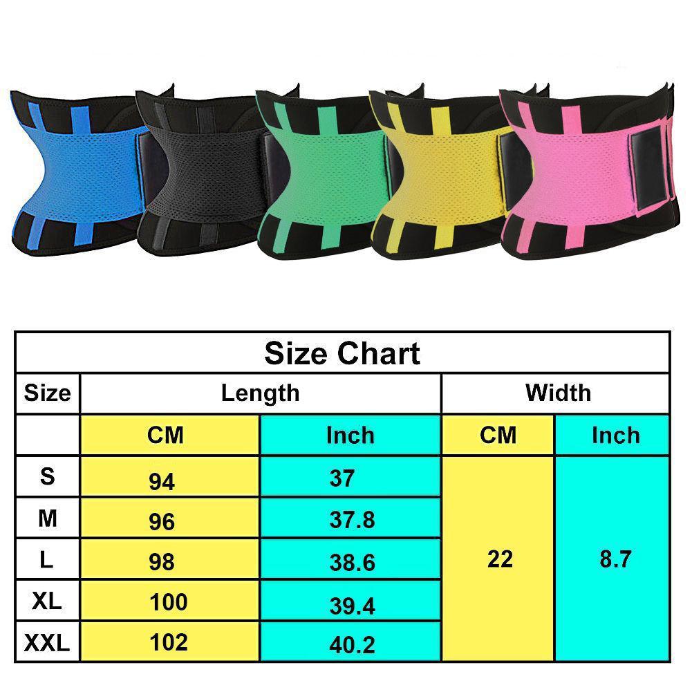 Waist Shaper Premium Quality - Clearance 85%OFF!!